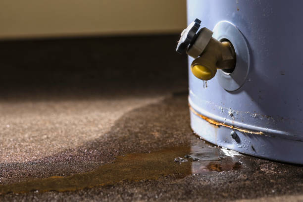 Best Water damage contractors near me  in Melrose, MN