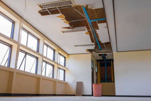 Best Commercial water damage restoration  in Melrose, MN