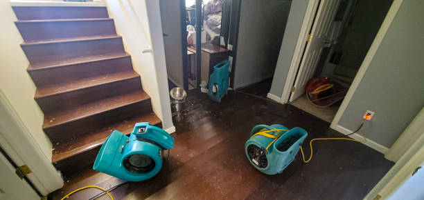 Best Water damage cleanup near me  in Melrose, MN