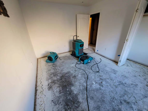 Best Basement water damage restoration  in Melrose, MN