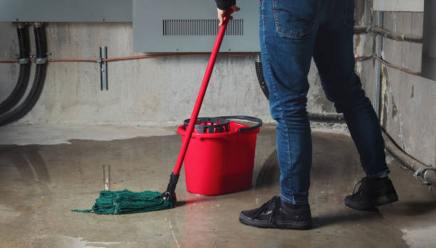 Best Residential water damage restoration  in Melrose, MN