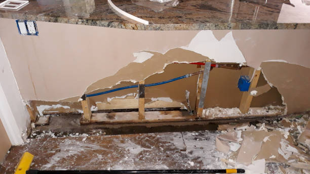 Best Professional water damage repair  in Melrose, MN