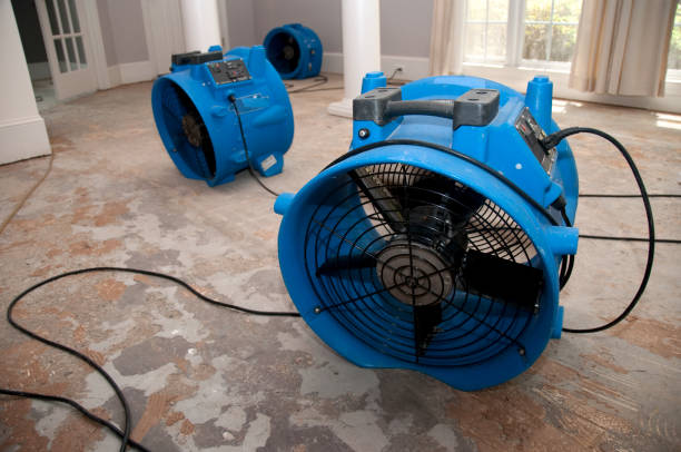 Best Flooded house restoration  in Melrose, MN